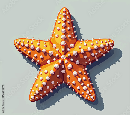 Orange starfish with white pearls, ocean treasure