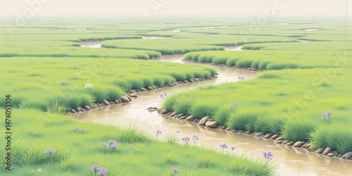 Serene Marshlands Pathway Purple Flowers Green Grasses Wetlands Tranquil Nature