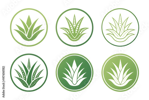 Six stylized aloe vera plant icons in varying shades of green circles