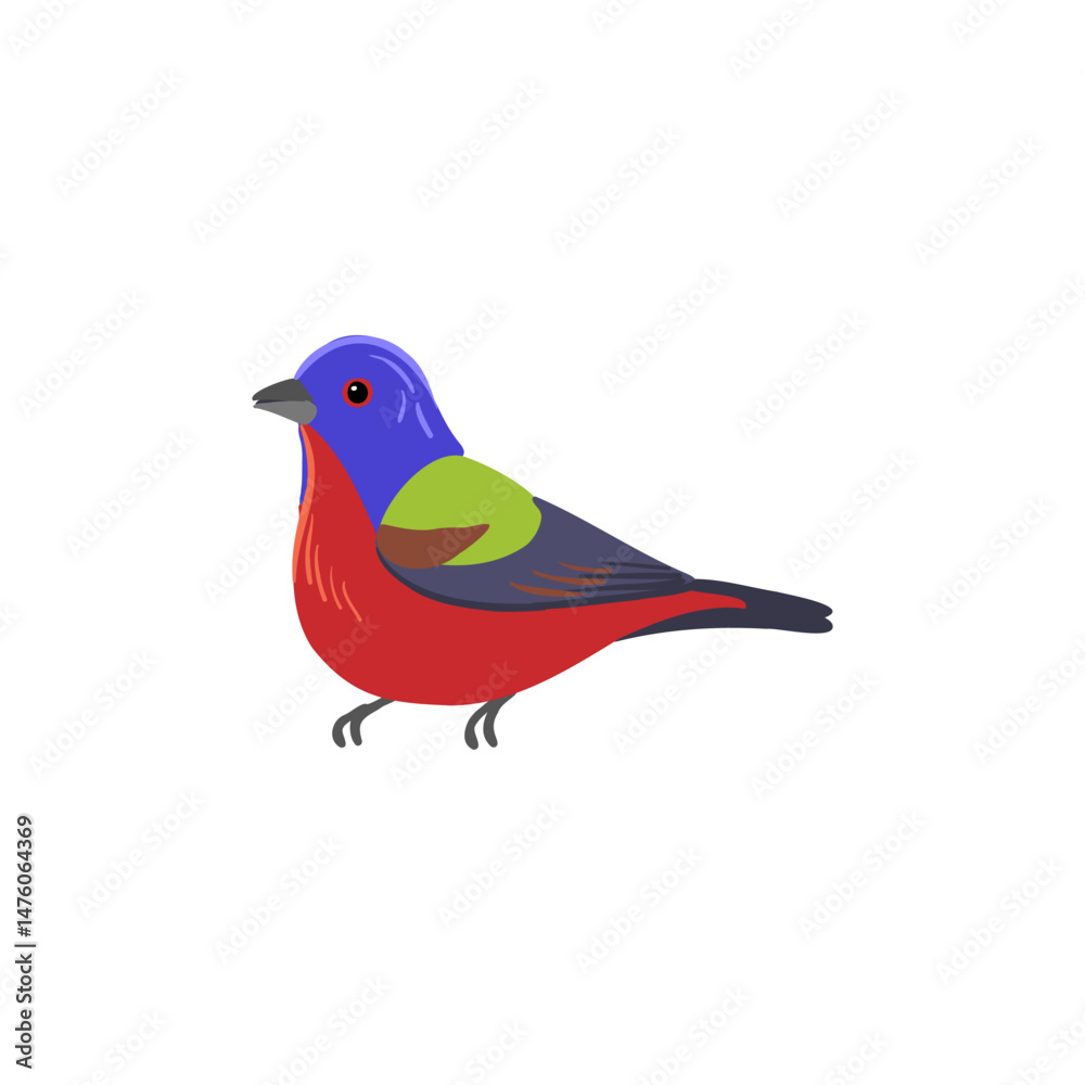 Obraz premium vector drawing bird, painted bunting , hand drawn Passerina ciris, isolated nature design element