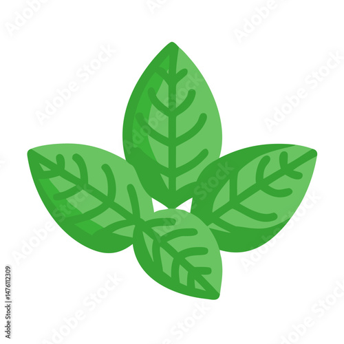Vibrant green basil leaves displayed on a dark background