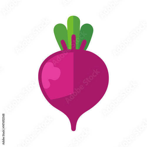 Isolated flat vector illustration of a beet on black