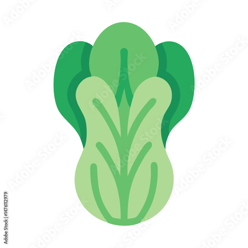 Isolated bok choy illustration with flat design on black