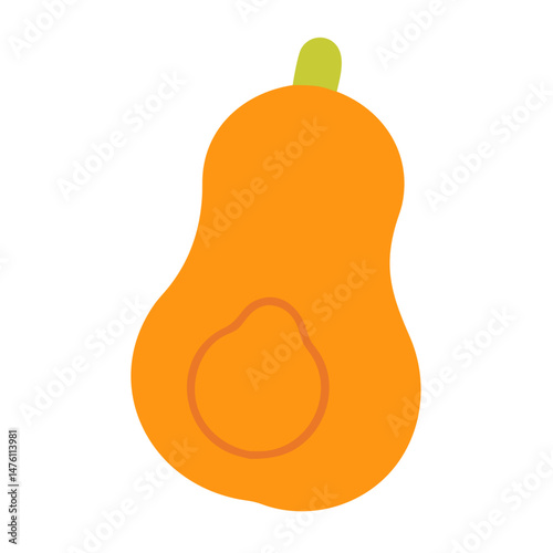 Flat vector illustration of an orange butternut squash
