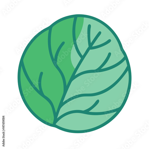 Flat design icon of a vibrant green cabbage head