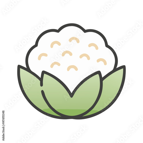 Illustration of fresh cauliflower head on black background