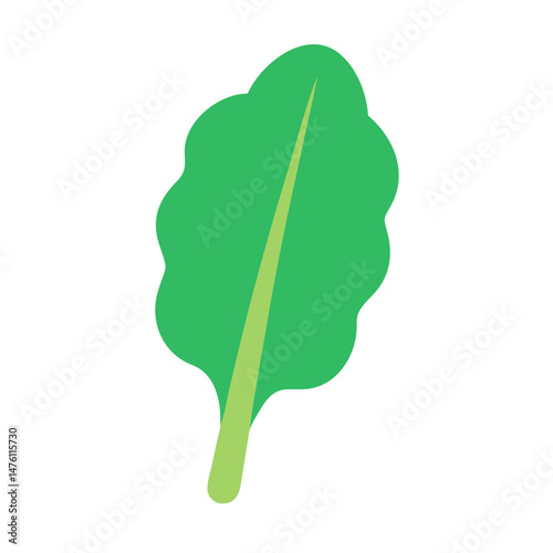 Isolated spinach leaf on black background for food illustrations