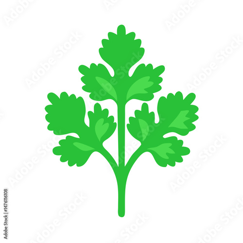 Isolated green cilantro sprig illustration on a black background