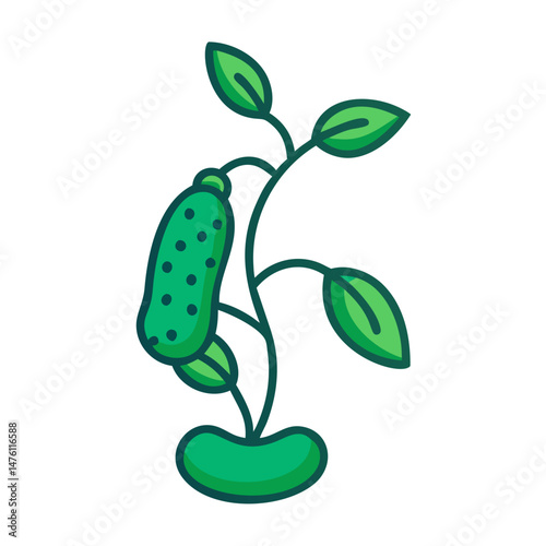Cute green pickle plant with leaves and solid background