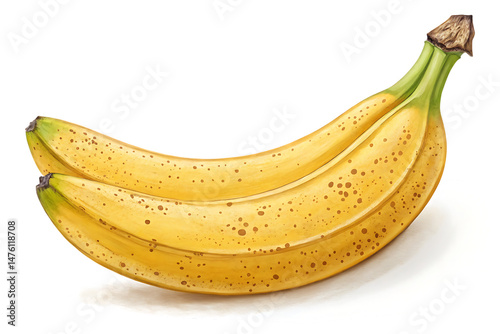Delicious realistic hand drawn illustration of ripe yellow bananas on a white background