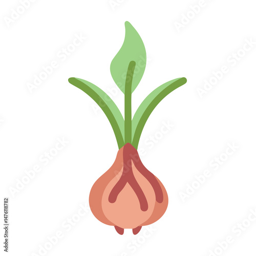 Simple cartoon illustration of a sprouting onion plant isolated