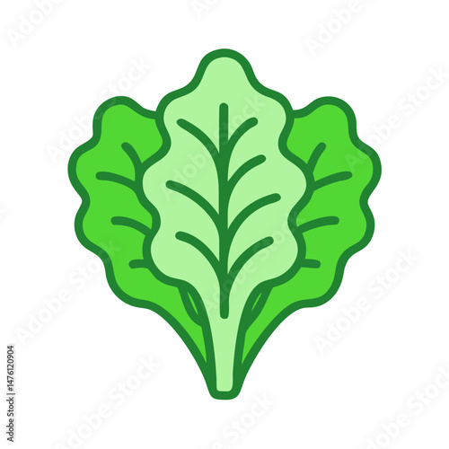 Stylized green lettuce icon on black background, fresh vegetable