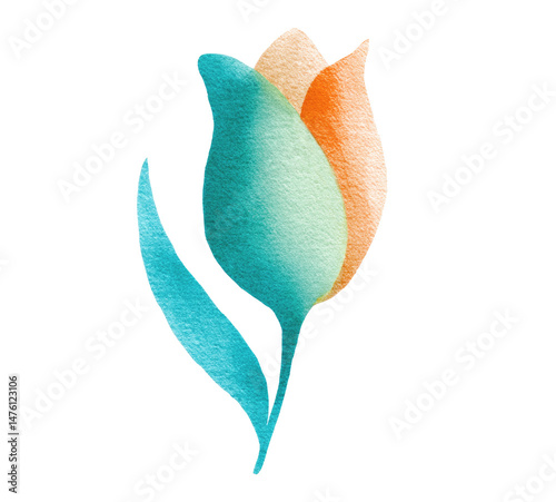 blue flower isolated on white