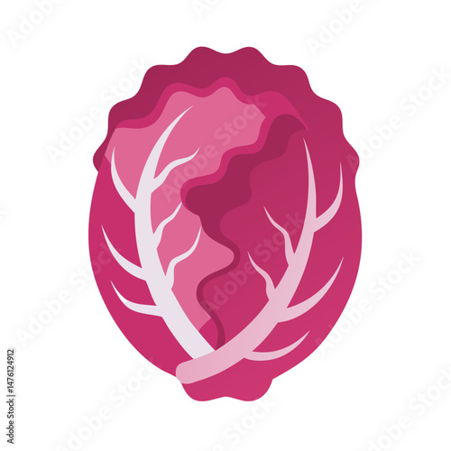Stylized red cabbage illustration against a stark black background