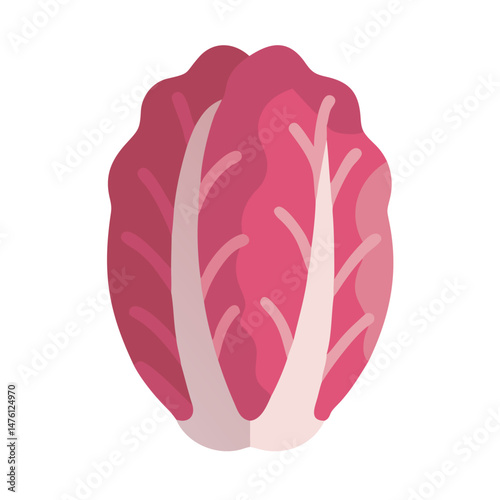 Isolated radicchio illustration in flat design style on black