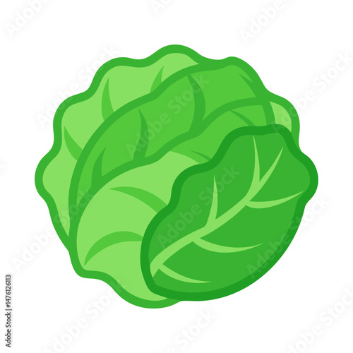 Stylized green cabbage head isolated on black background image