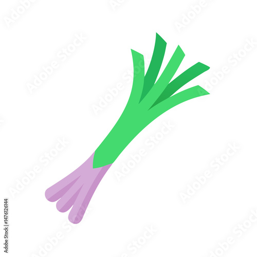 Stylized leek illustration on black background for food design