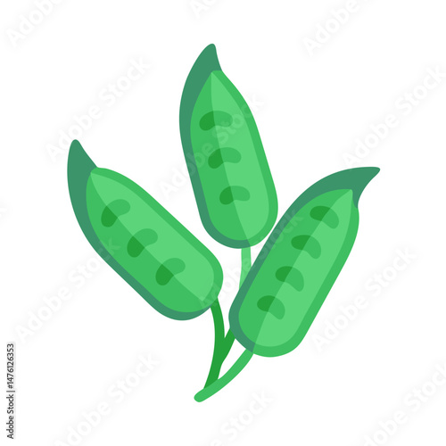Vibrant green pea pods against a contrasting black background