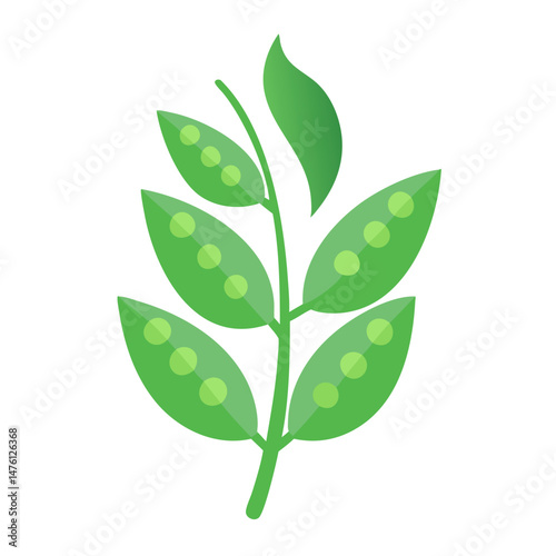 Flat vector illustration of a pea plant branch
