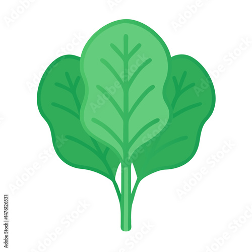 Flat vector spinach bundle isolated on a black background