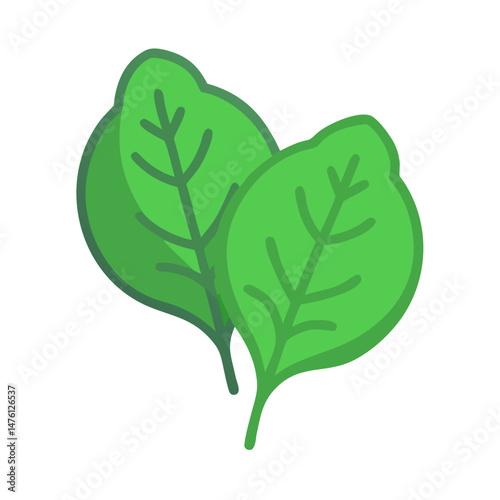 Two spinach leaves on a dark background graphic illustration