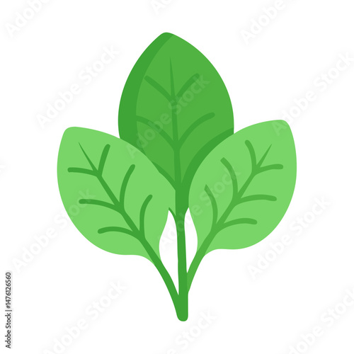Three flat design green spinach leaves on a black background