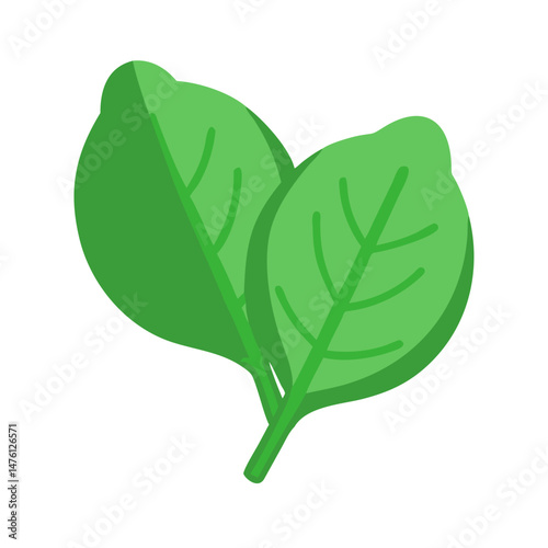 Fresh spinach leaves isolated against dark background, vegetarian ingredient