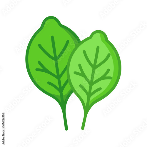 Two fresh green spinach leaves on a black background