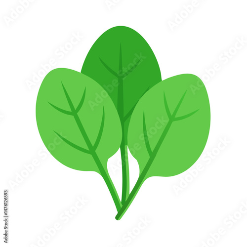 Vibrant green spinach leaves against a stark black background