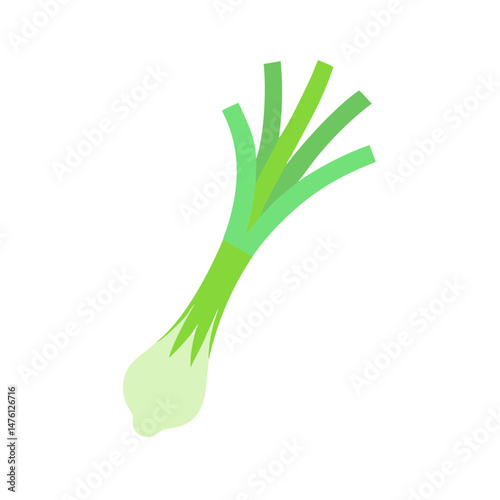 Simple flat design illustration of a fresh spring onion