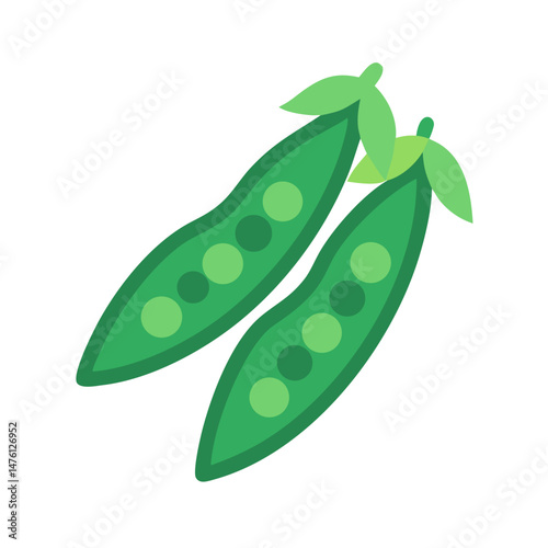 Two pea pods illustration on black background isolated vector