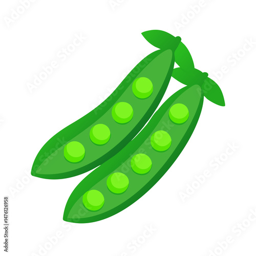 Two vibrant green pea pods isolated on black background