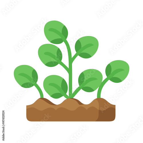 Planting new seedlings for spring growth in dark soil