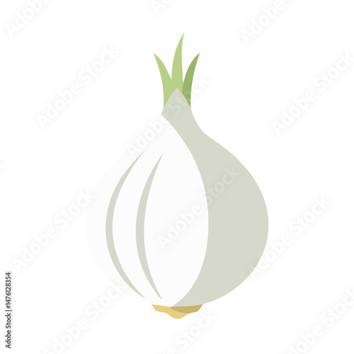 Isolated flat vector illustration of an onion on black