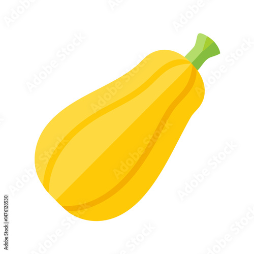Isolated flat vector illustration of a golden zucchini squash