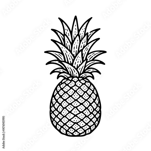 Pineapple Line Art  Tropical Summer Fruit Illustration