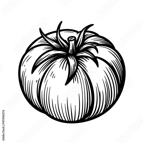 A Delicious Hand-Drawn Tomato Illustration