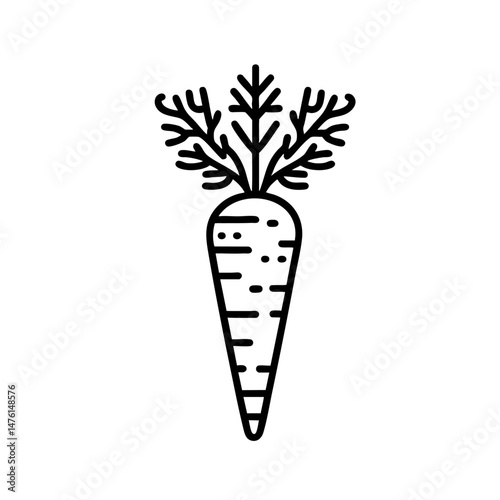 Fresh Carrot Line Art  A Vibrant Vector Illustration