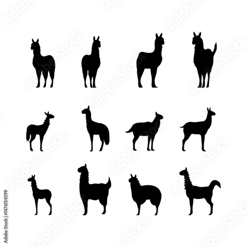 llama silhouette setclipart on a background