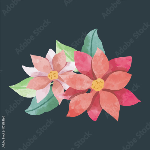 Watercolor Floral Arrangement with Poinsettias and Green Leaves in isolated background