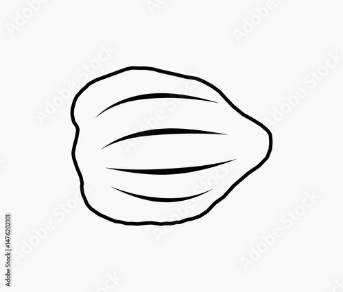 Candlenut spice and herbs line art illustration