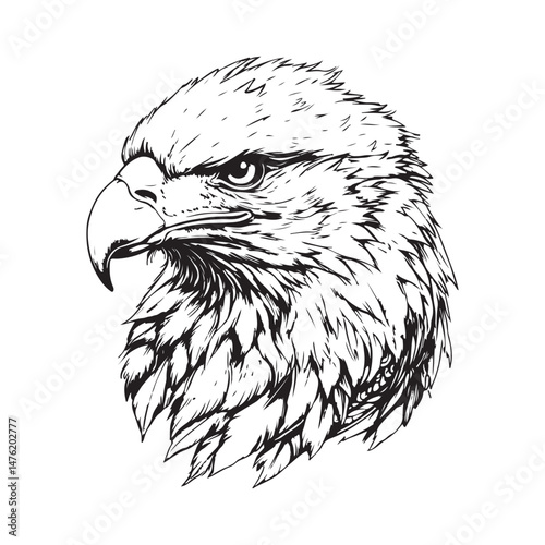 Vintage engraving Eagle retro vector illustration art design.