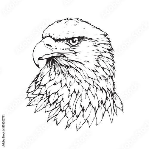 Vintage engraving Eagle retro vector illustration art design.