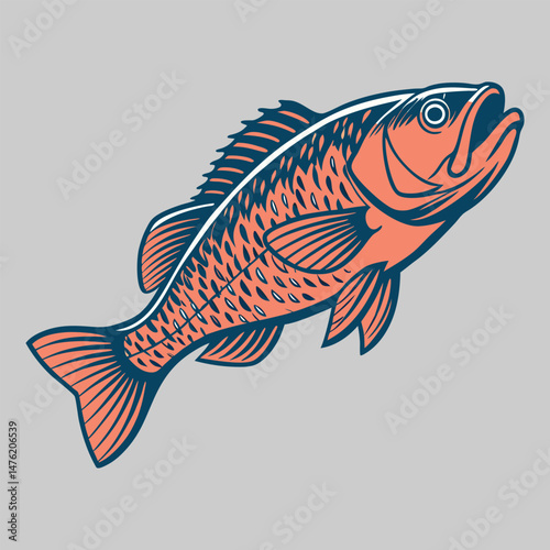 fish vector