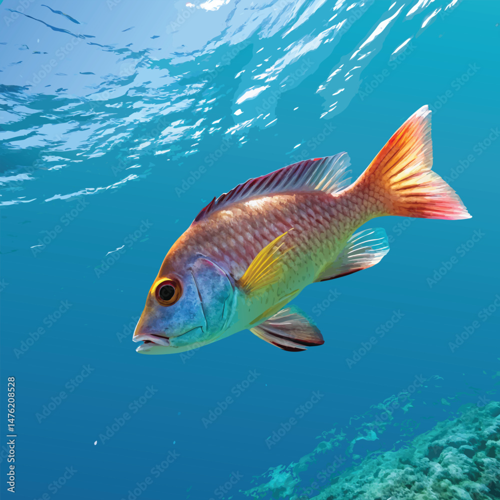 fish vector fish vector