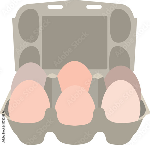 Vector illustration egg box with white fresh chicken eggs. Egg container.