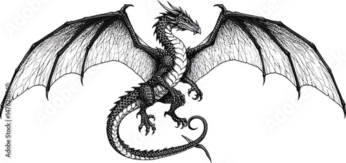 Stylized Black and White Dragon, Intricate Scales and Wings