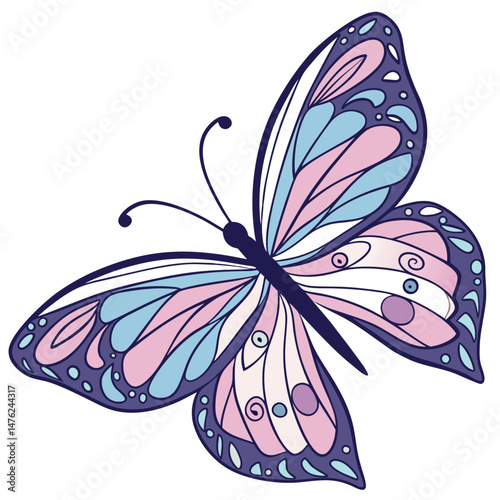 butterfly vector illustration