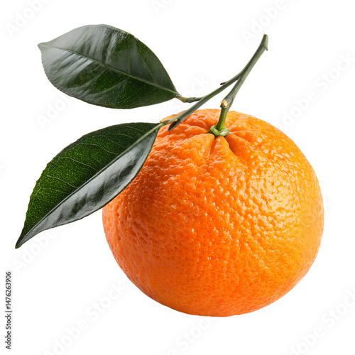 Fresh Orange with Green Leaves 2025 photo