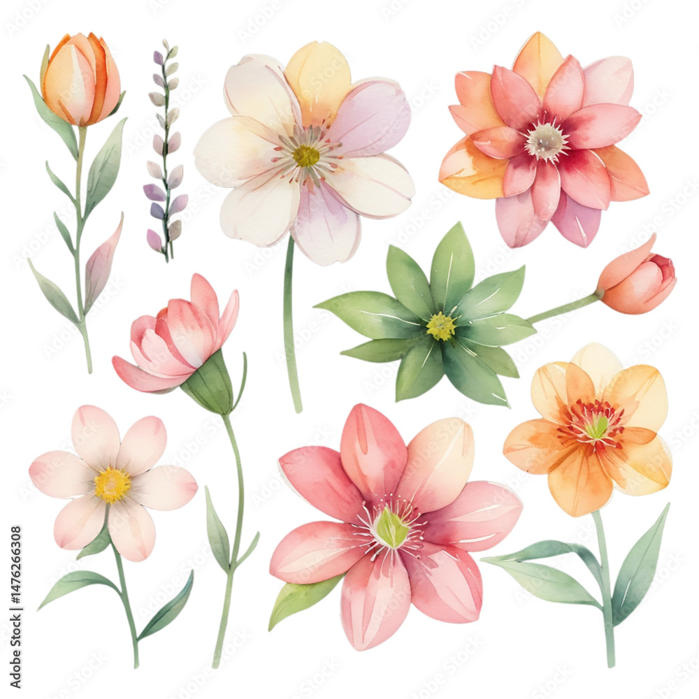 Fototapeta premium Collection of watercolor spring flowers transparent background